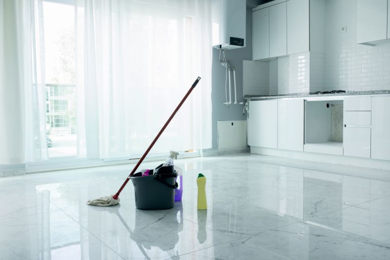 Tenancy Cleaning in Renton, WA